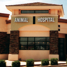 list-of-24-hour-animal-hospitals-near-me