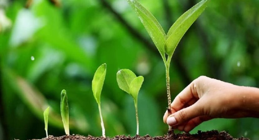 biggest-environmental-problems