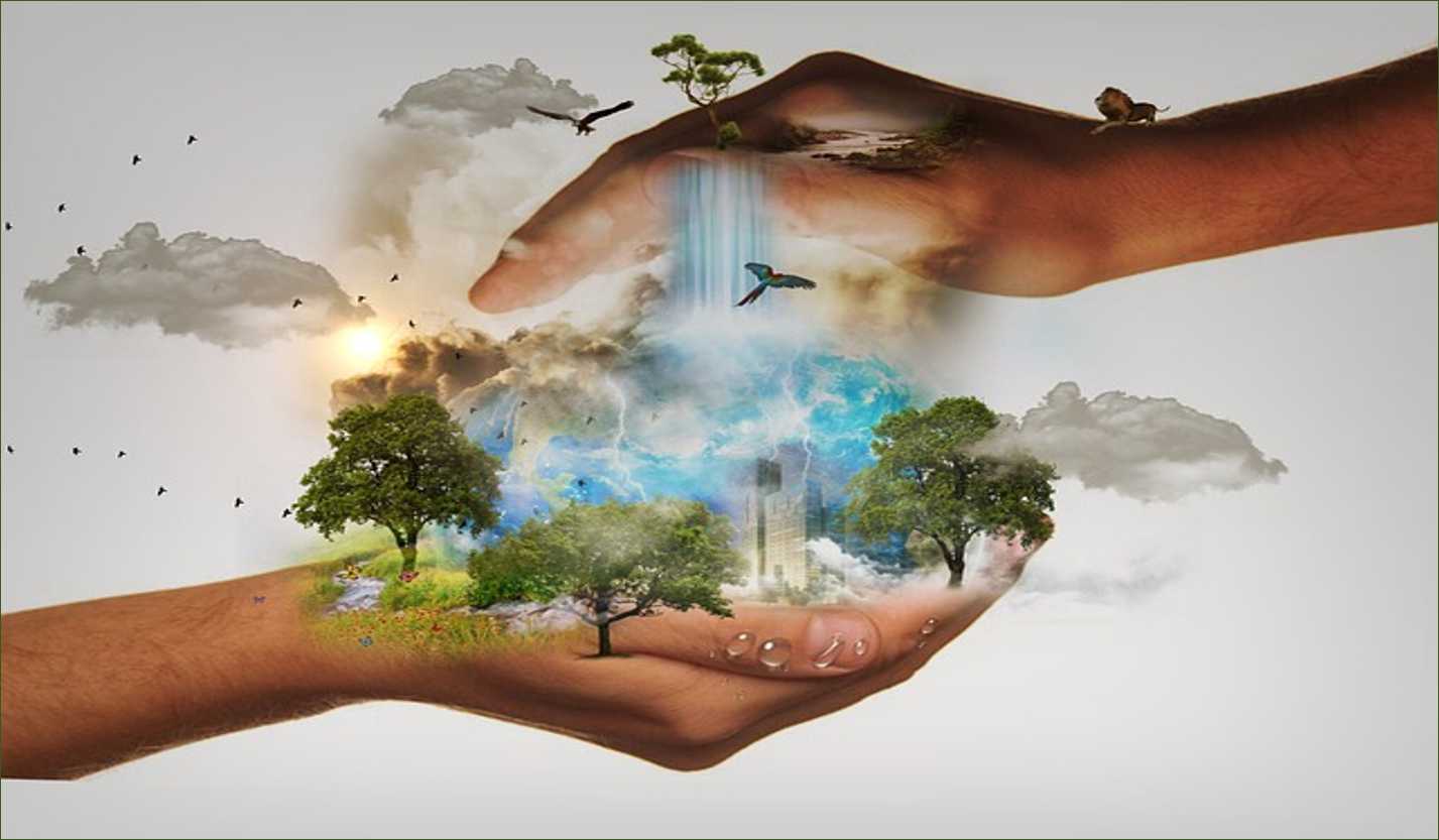 10 Importance Of Conservation Of Natural Resources - Environment Go! (2023)