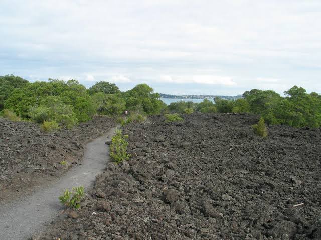 Ecological Succession