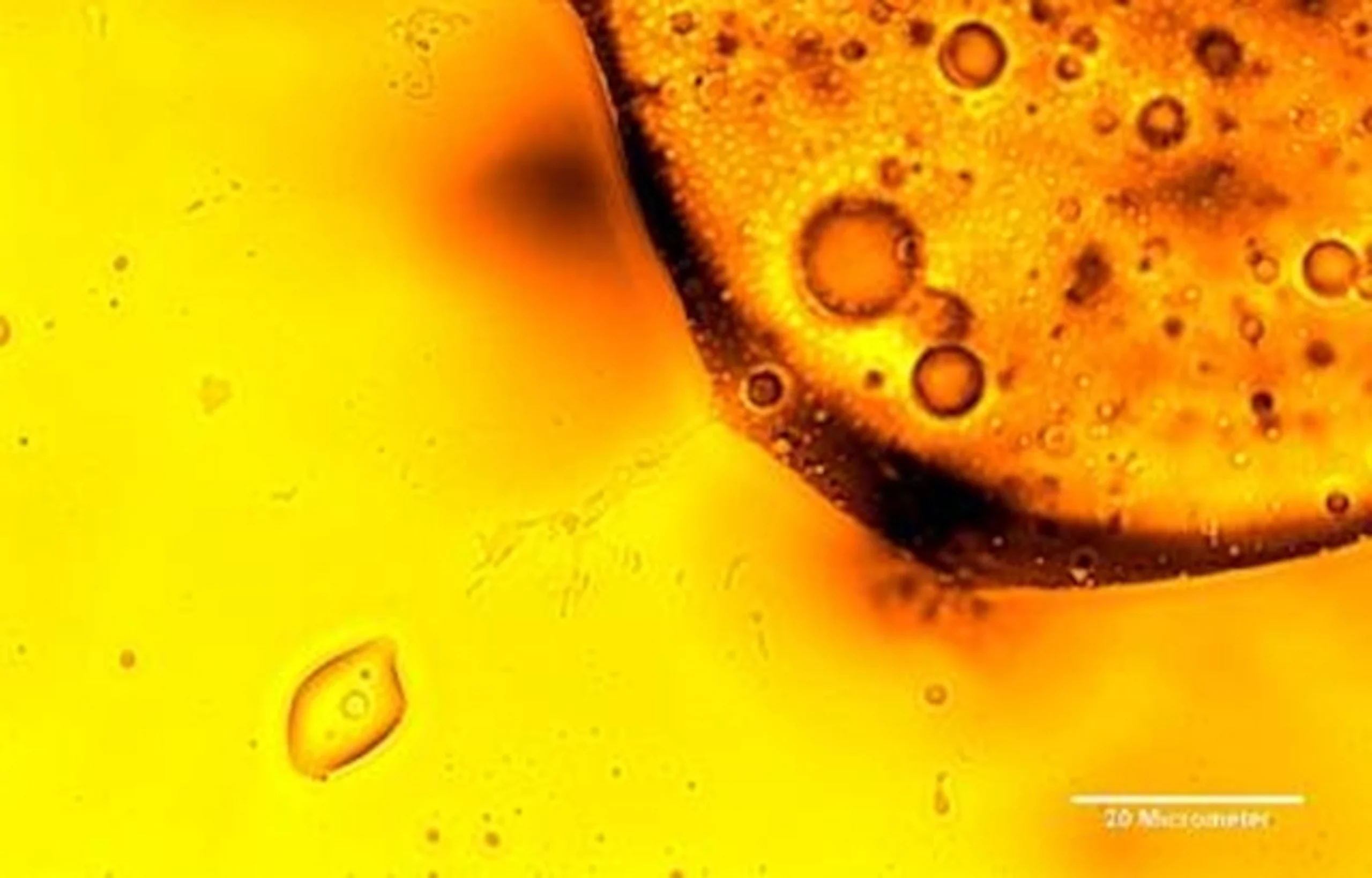 cleaning oil spills with bacteria