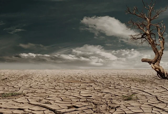 Effects of Drought
