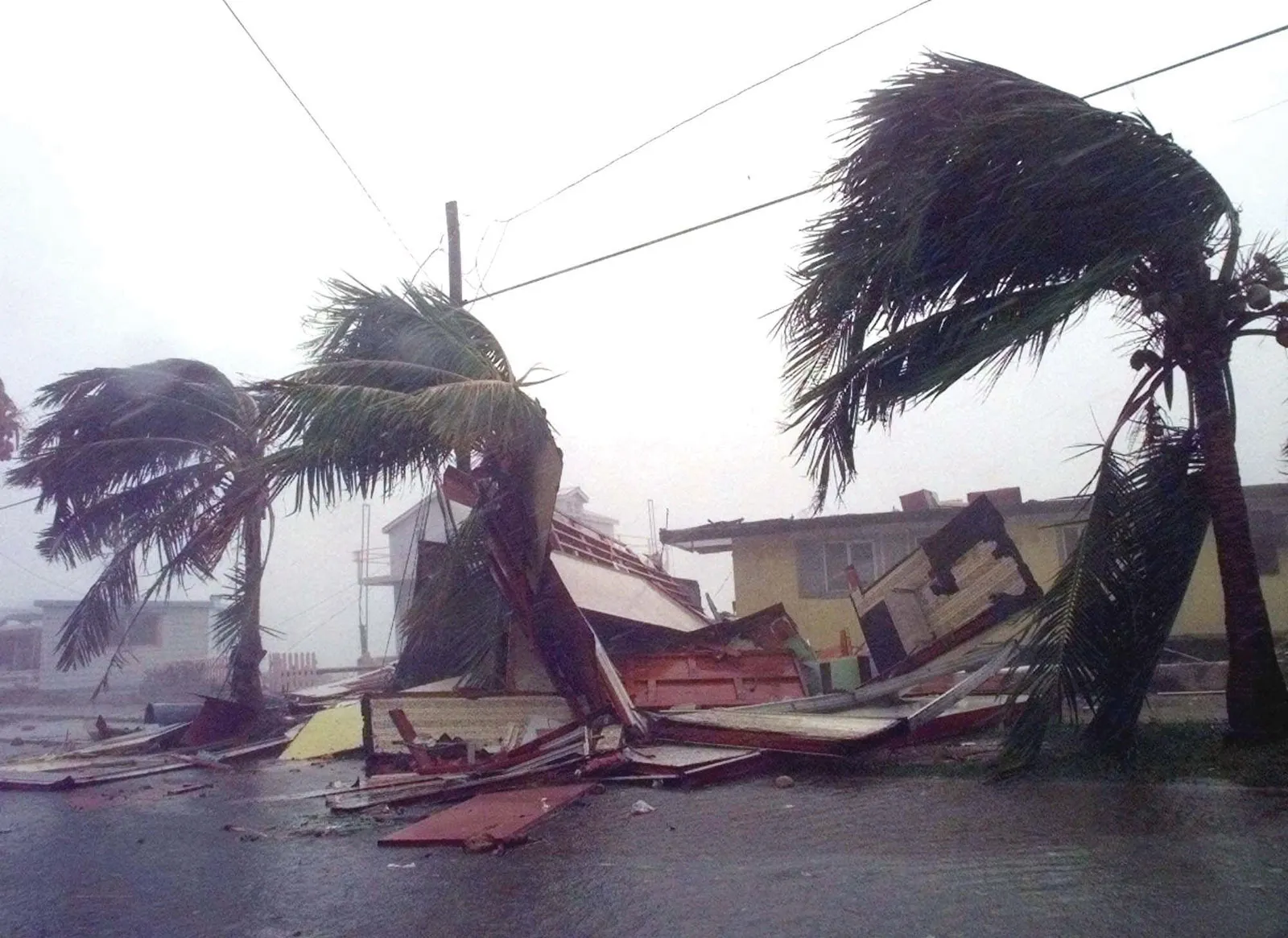 Effects of Hurricanes