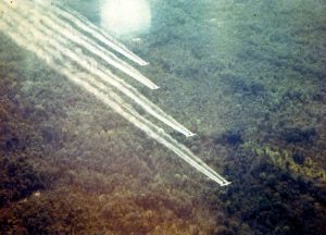 ecocidio de la guerra de vietnam - desastres ambientales causados por humanos