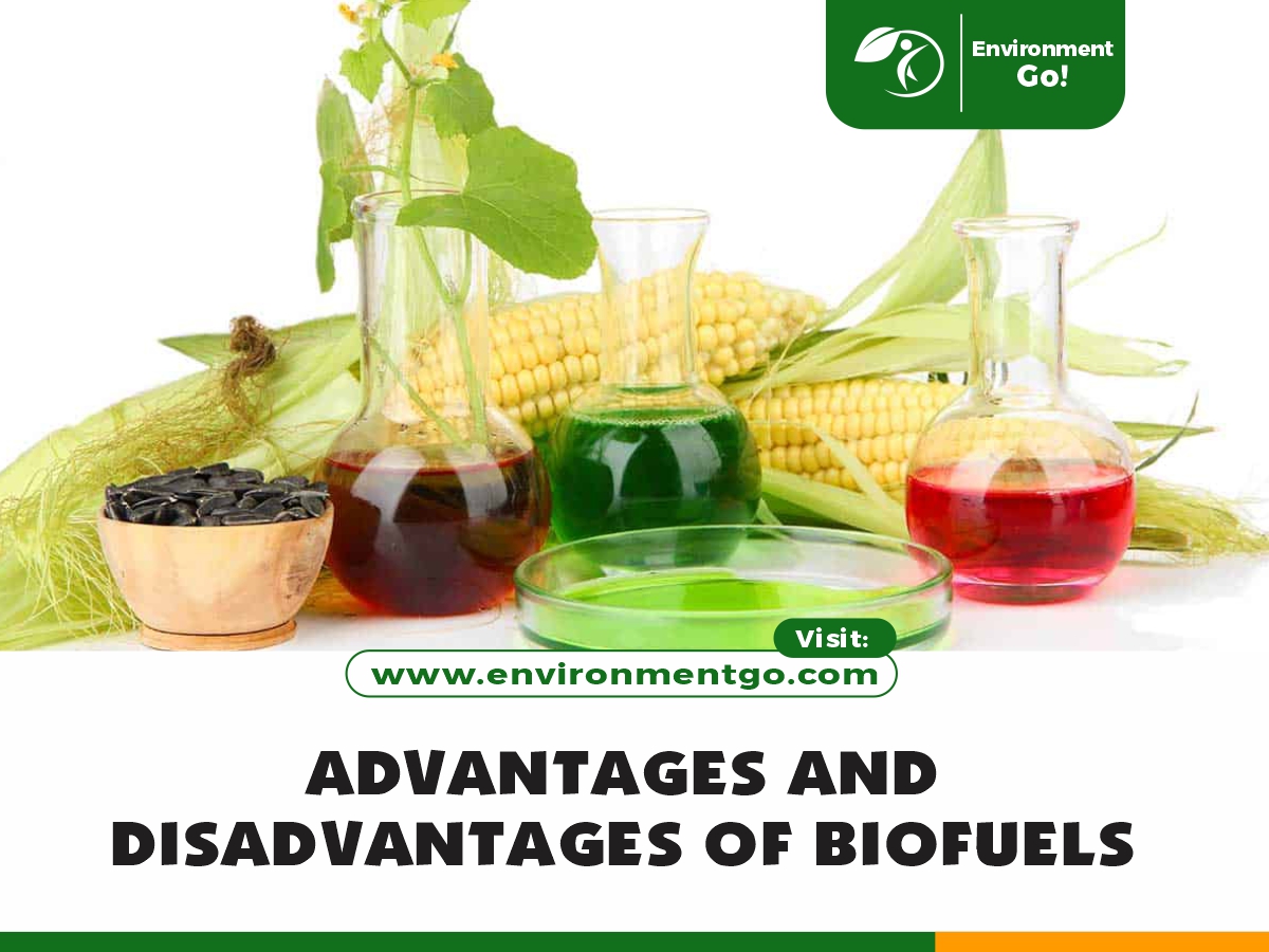 Výhody a nevýhody biopaliv