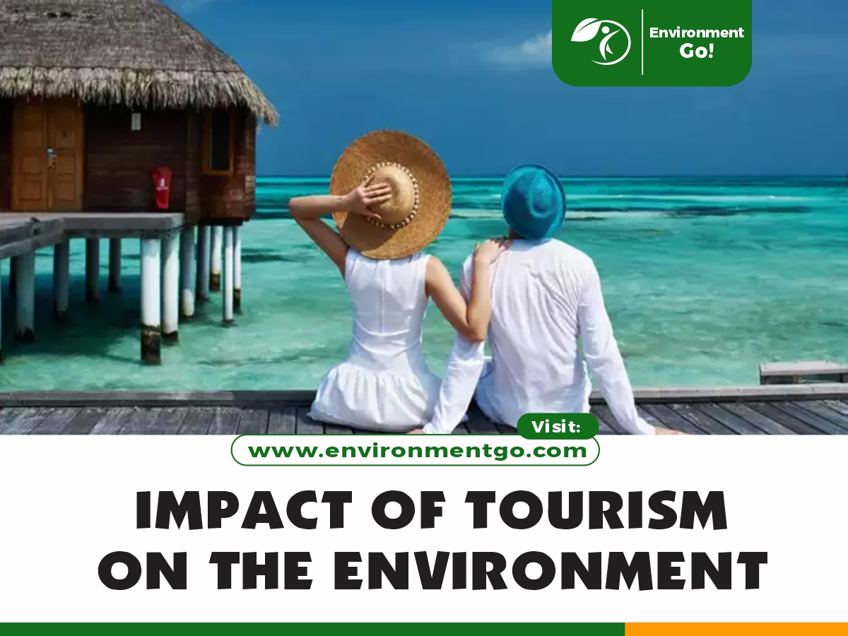 IMPACT OF TOURISM ON THE ENVIRONMENT