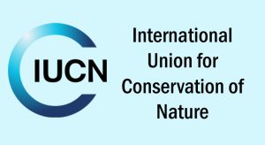 International Union for the Conservation of Nature (IUCN)