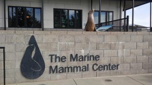 The Marine Mammal Center