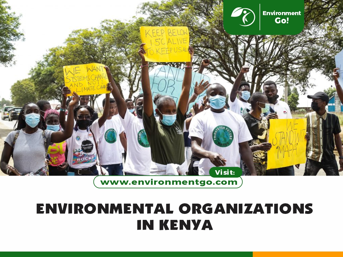 environmental organizations in Kenya