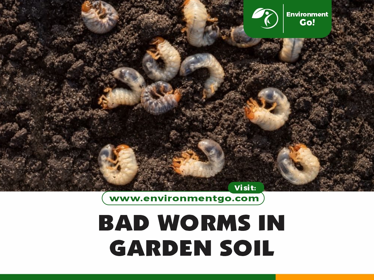 bad worms in garden soil