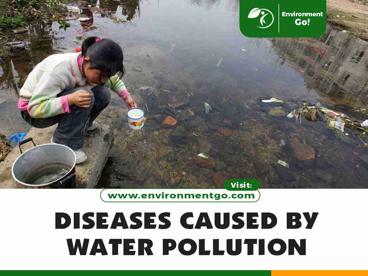 Diseases caused by Water Pollution