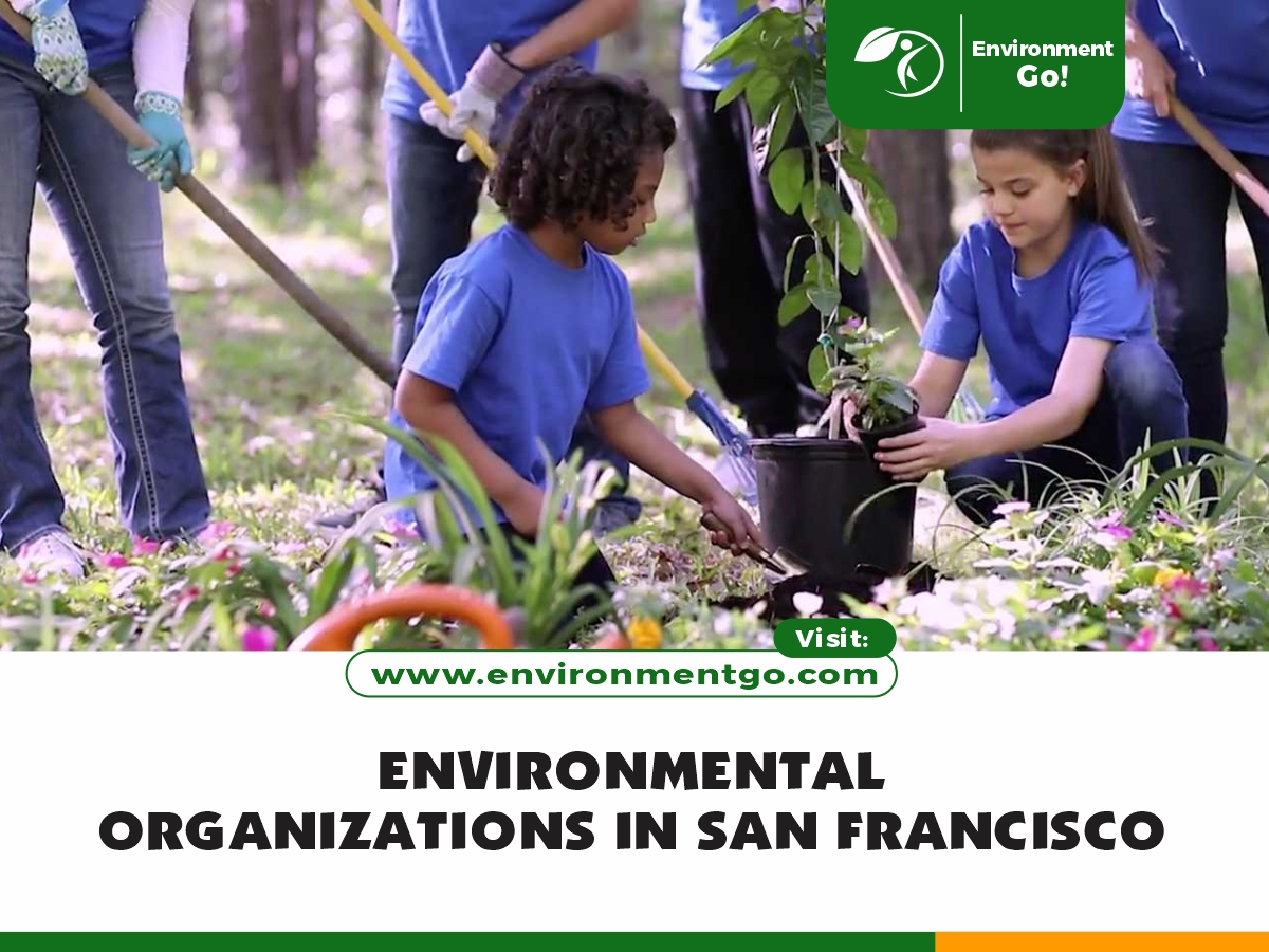Okoljske organizacije v San Franciscu
