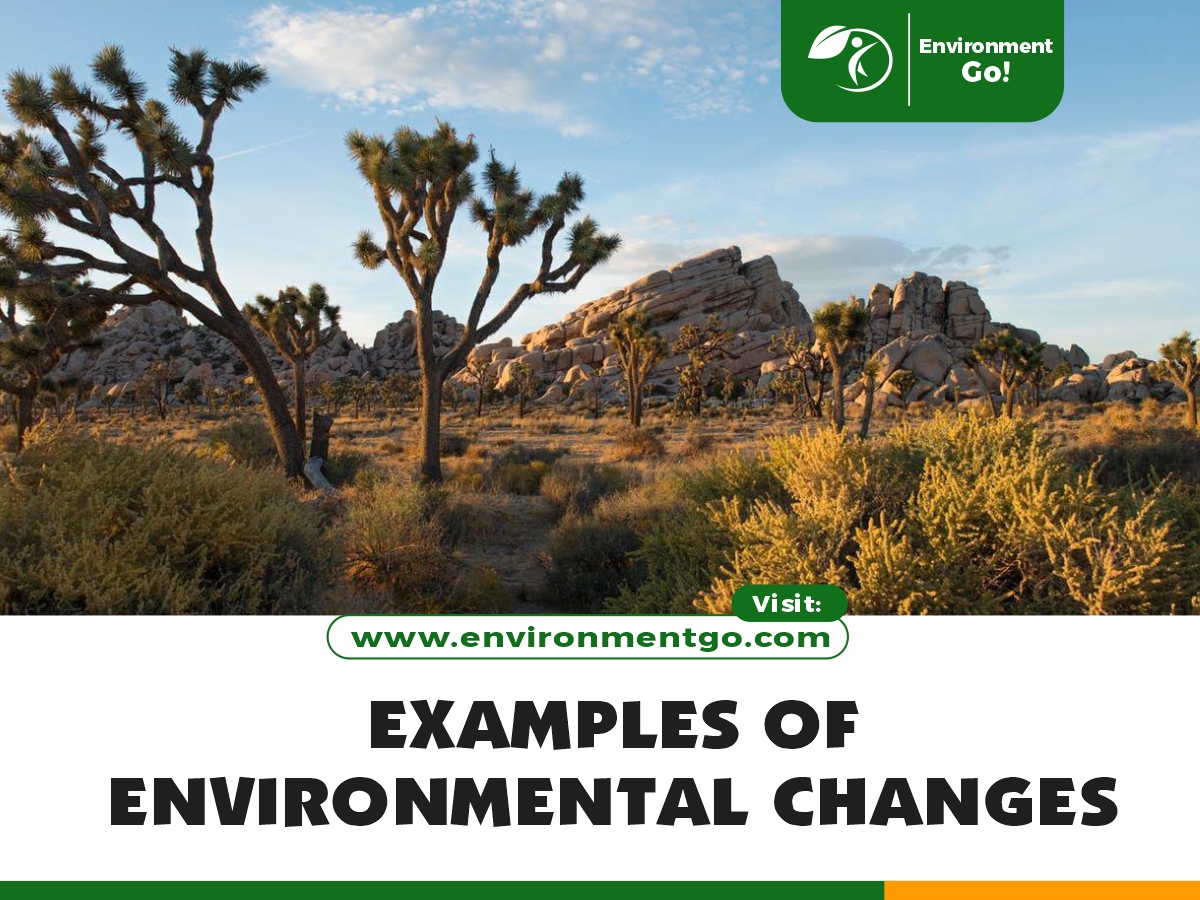 6 Examples of Environmental Changes