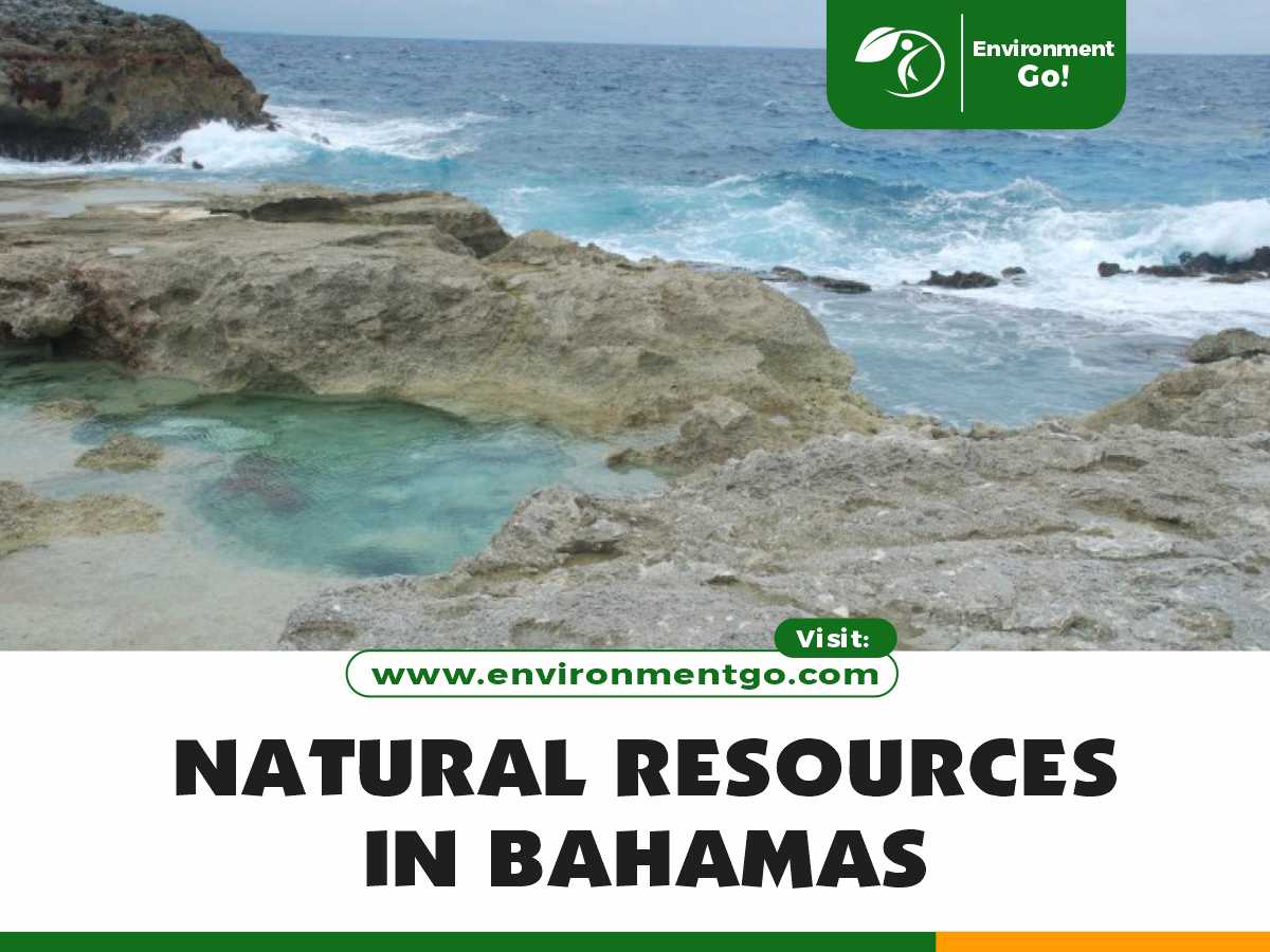 natural resources in Bahamas