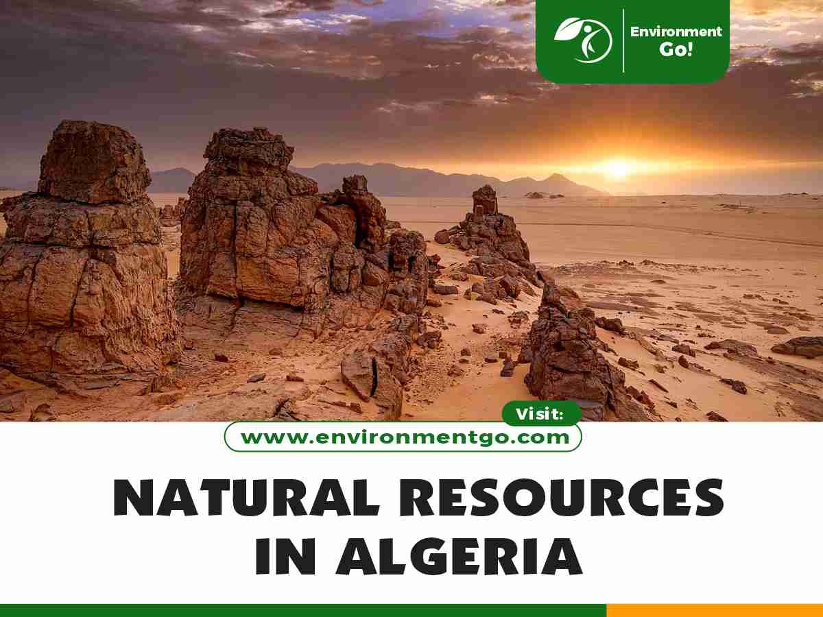 natural resources in algeria