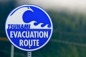 Positive and negative effects of tsunami- How to survive a tsunami
