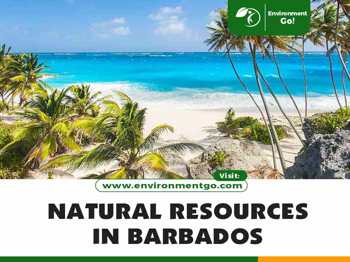 NATURAL RESOURCES IN BARBADOS