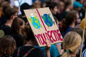 Environmental Organizations in New York City 