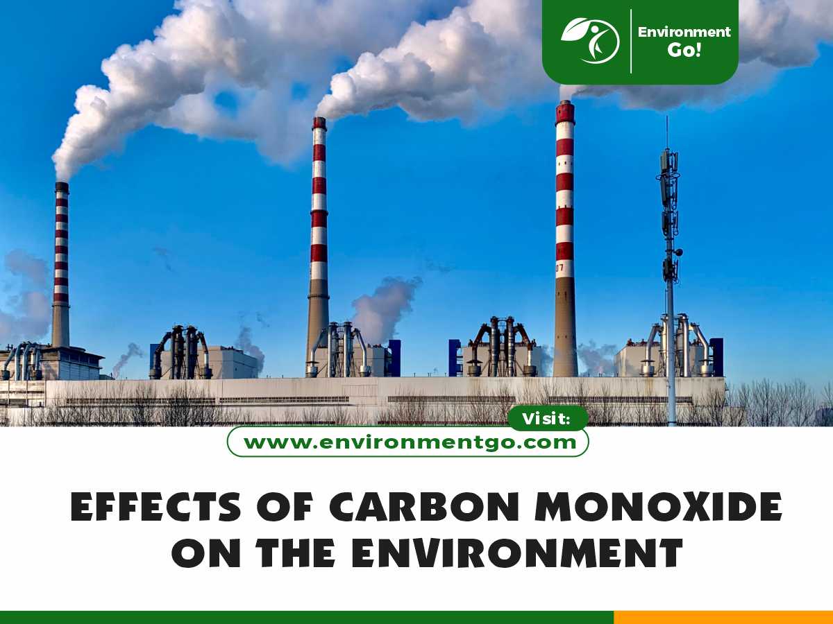 effects of carbon monoxide on the environment