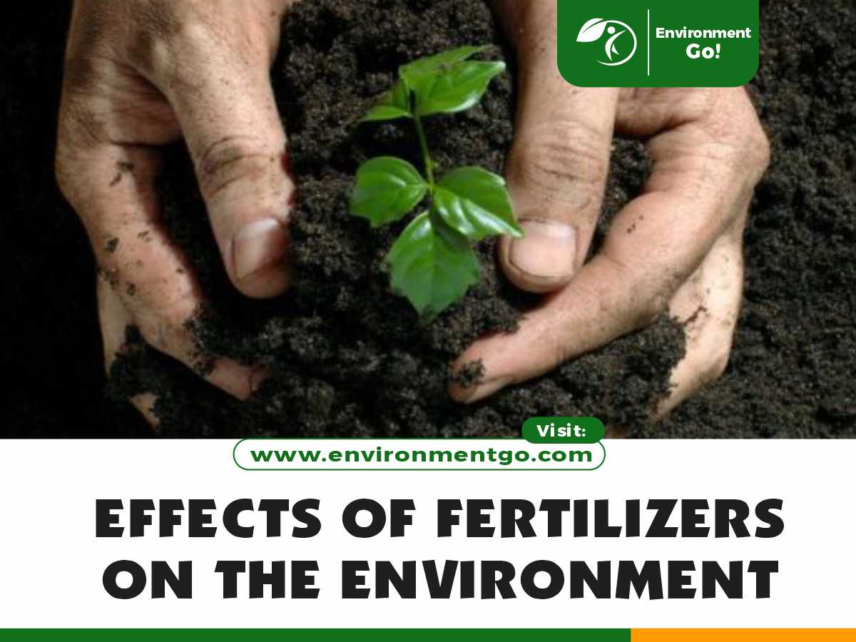 effects of fertilizers on the environment