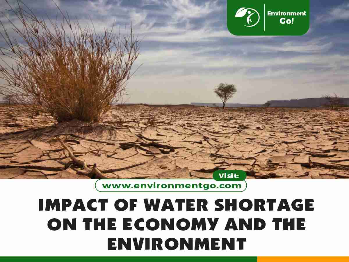 impact of water shortage on the economy and the environment