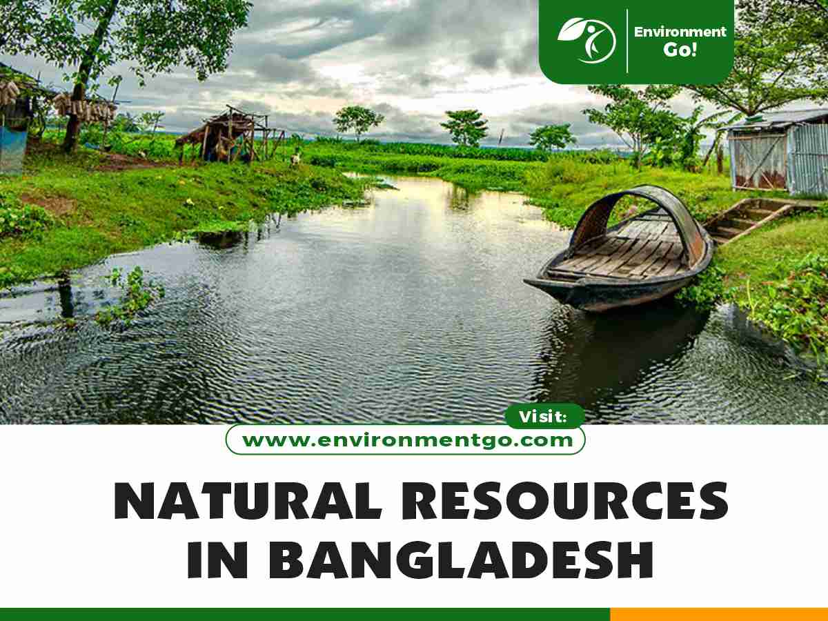 natural resources in Bangladesh