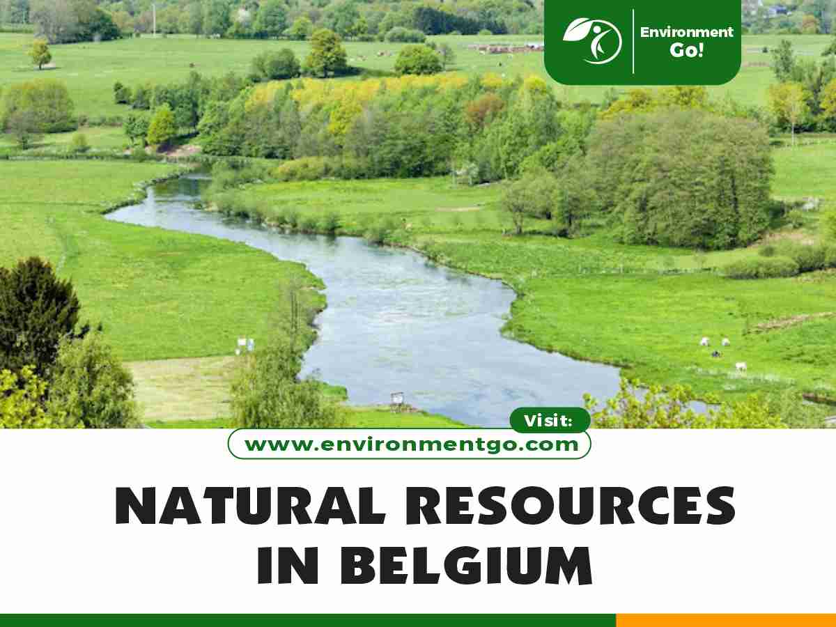 Top 10 Natural Resources in Belgium
