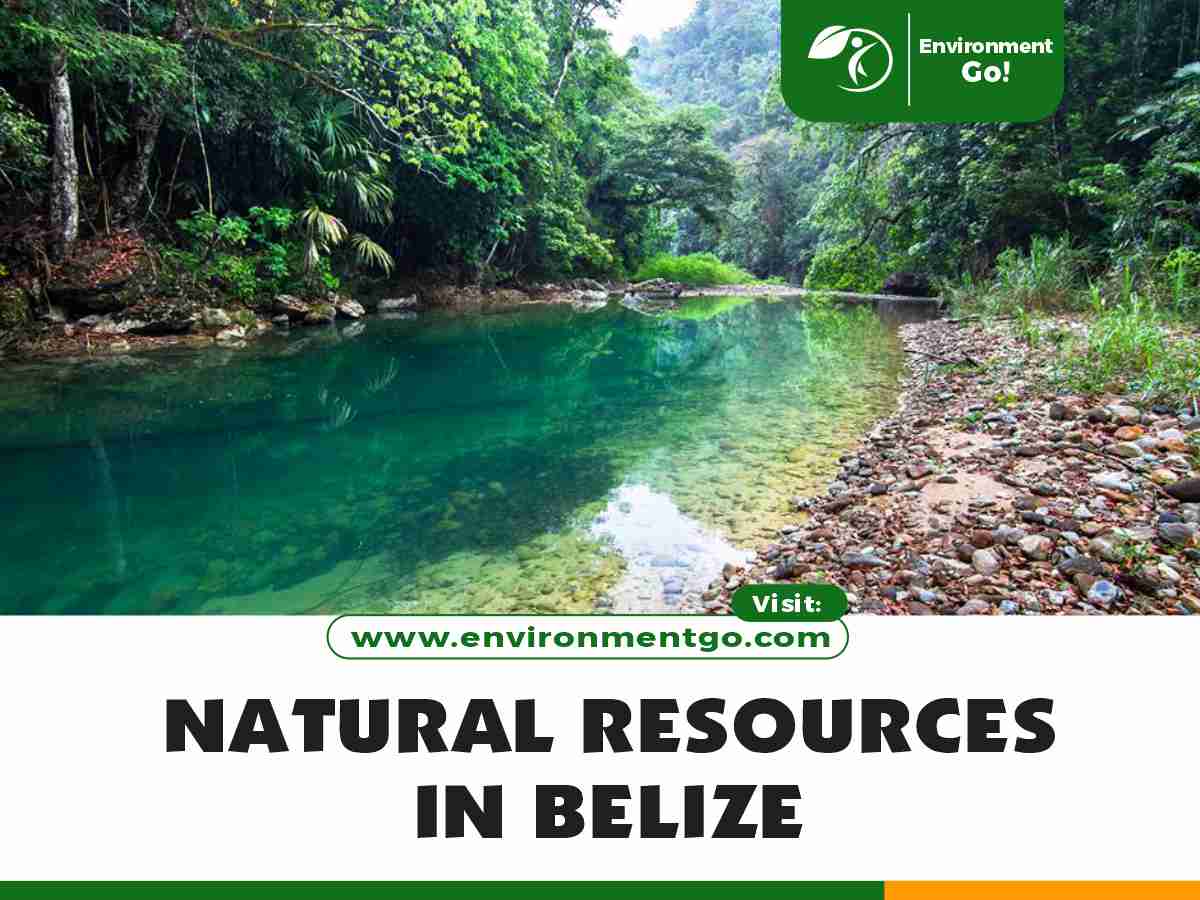 Top 10 Natural Resources in Belize