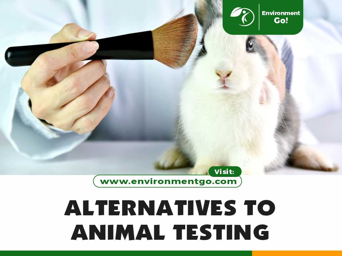 alternatives to animal testing