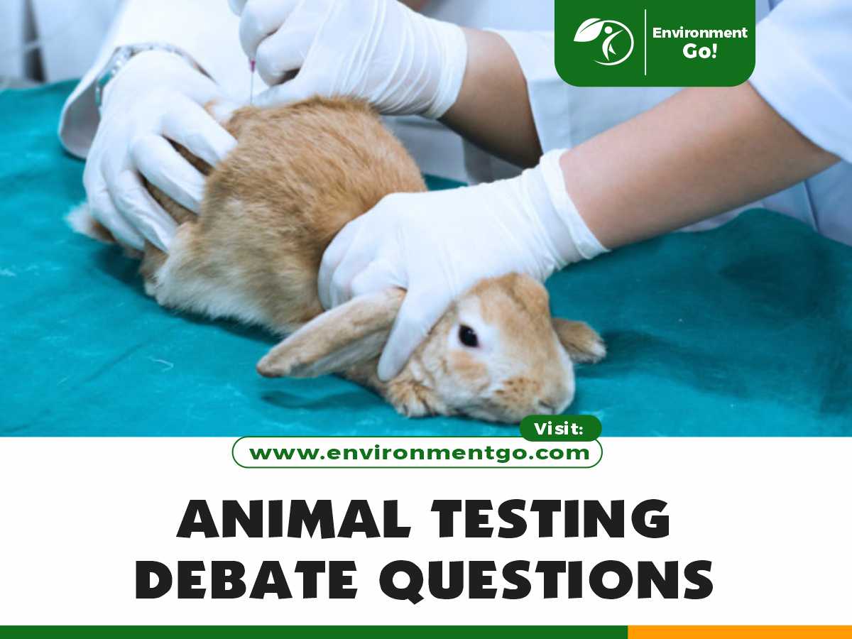 animal testing debate questions