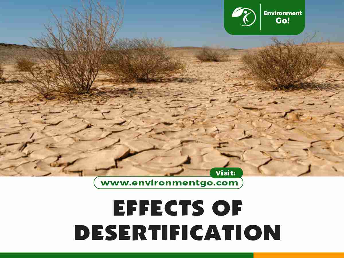 effetti della desertificazione