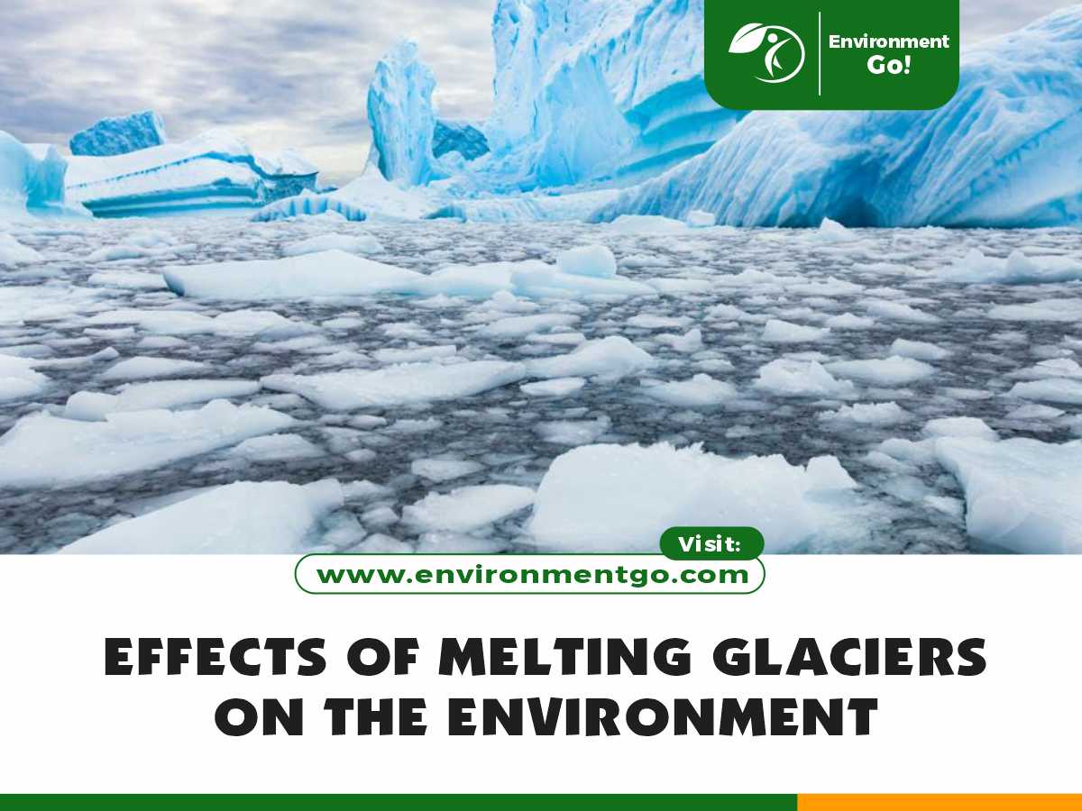 Effects of Melting Glaciers on the Environment