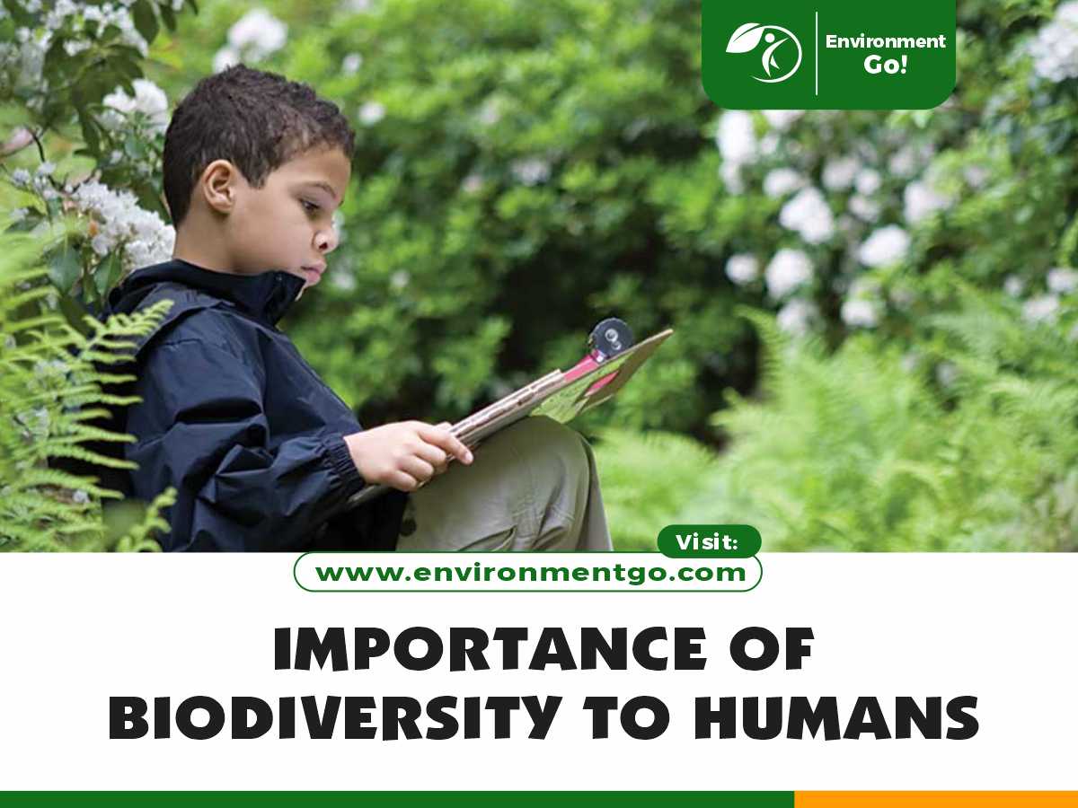 importance of Biodiversity to humans