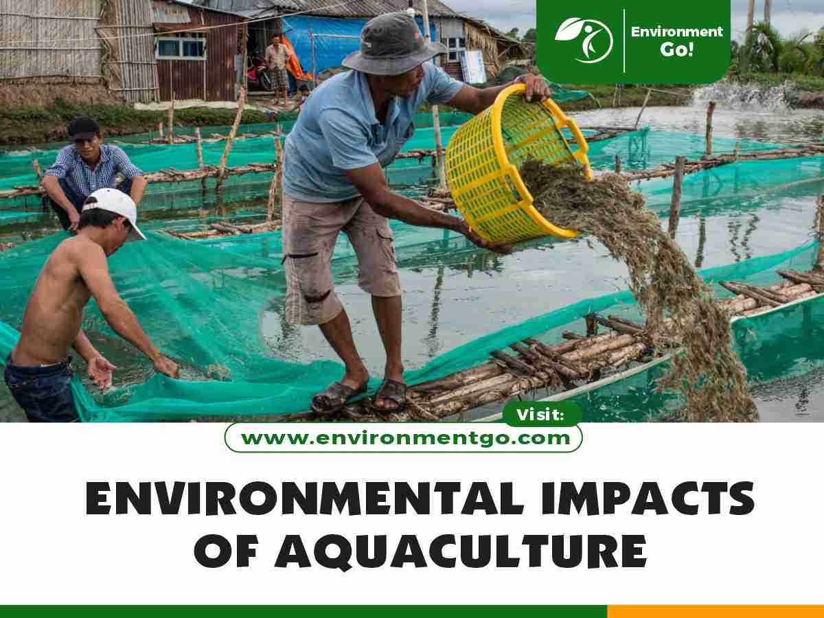environmental impacts of aquaculture