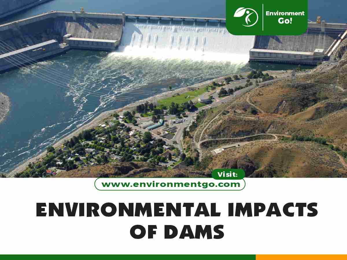 environmental impacts of dams
