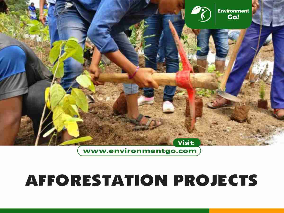 Afforestation Projects