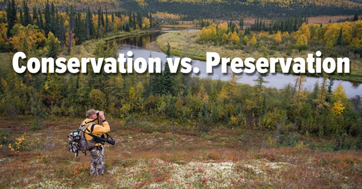 Conservation Vs Preservation Key Differences Examples Environment Go Conservation Vs Preservation Key Differences Examples Environment Go