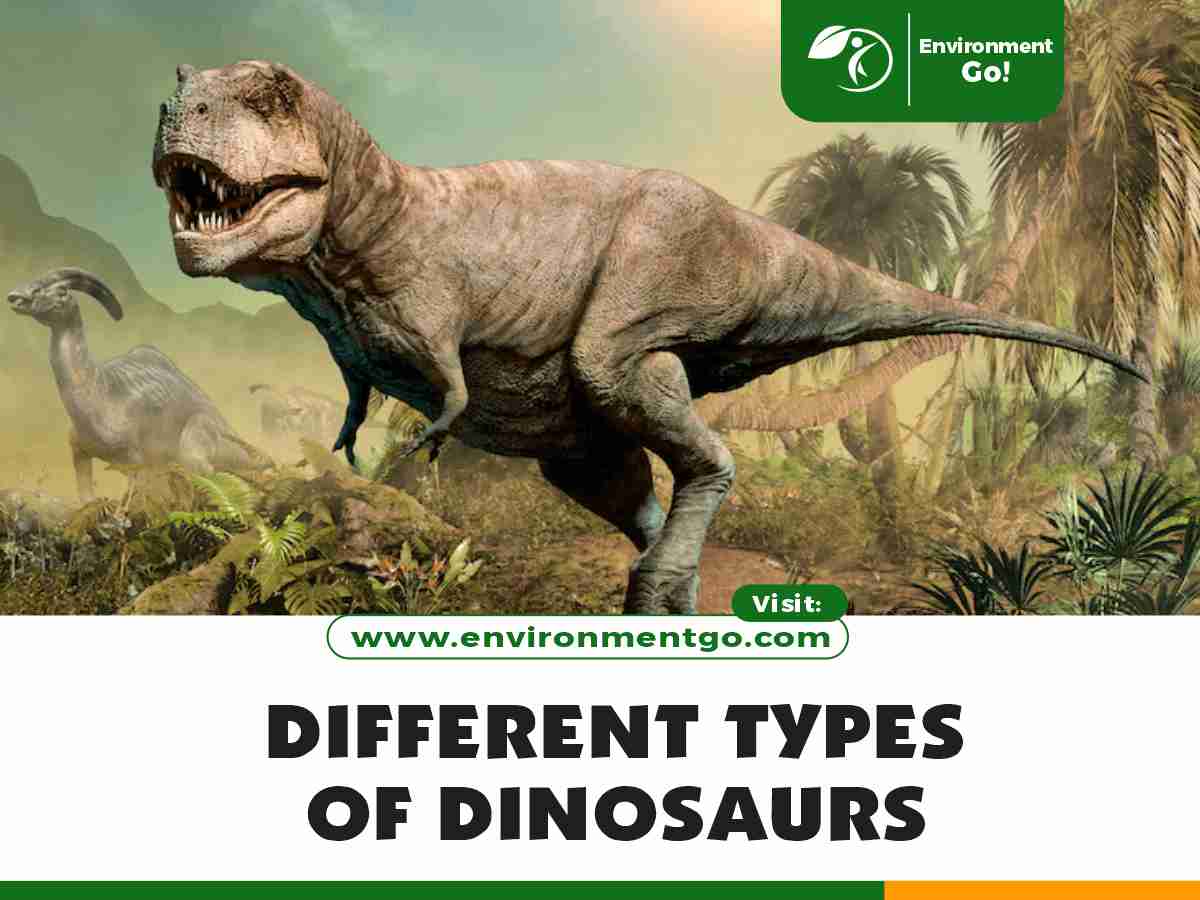 različite vrste dinosaura