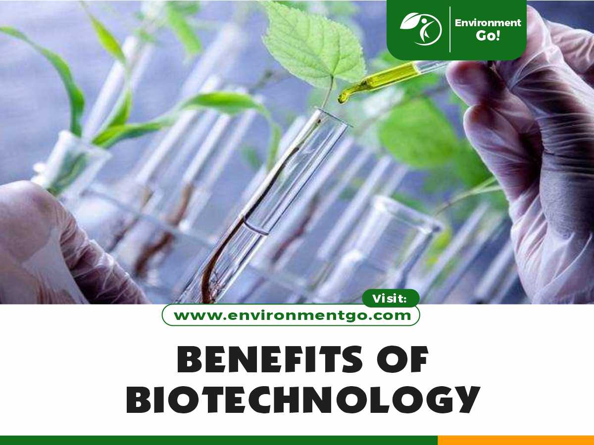 mga benepisyo ng biotechnology