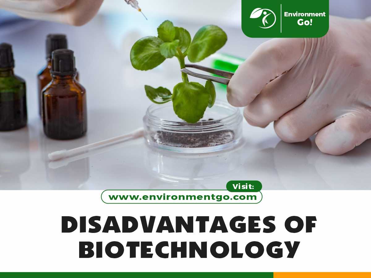 Mga Disadvantages ng Biotechnology