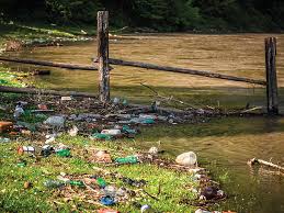 Groundwater Pollution- disadvantages of monoculture