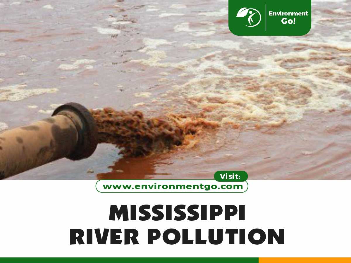 Mississippi River Pollution