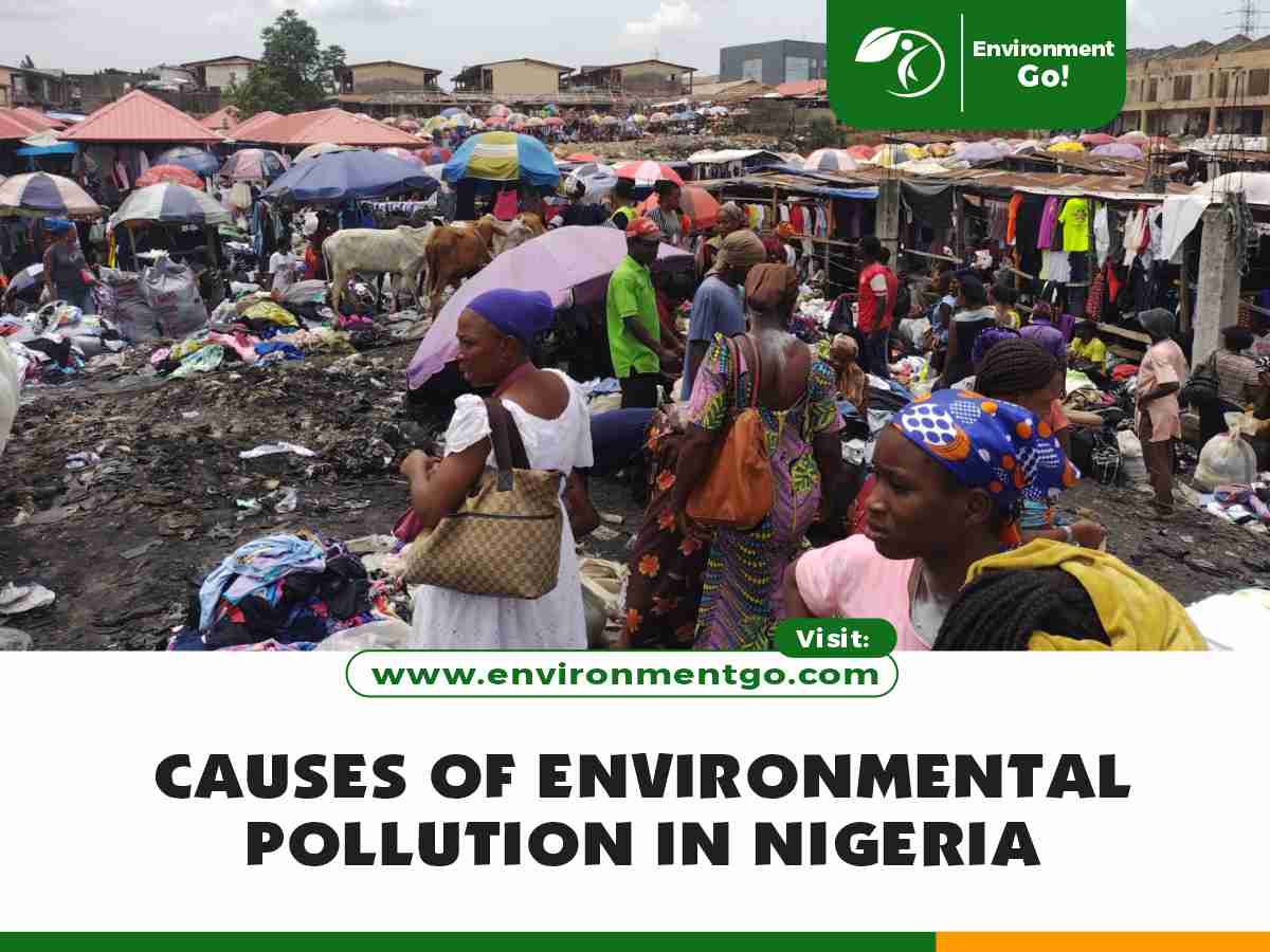 causes of environmental pollution in Nigeria