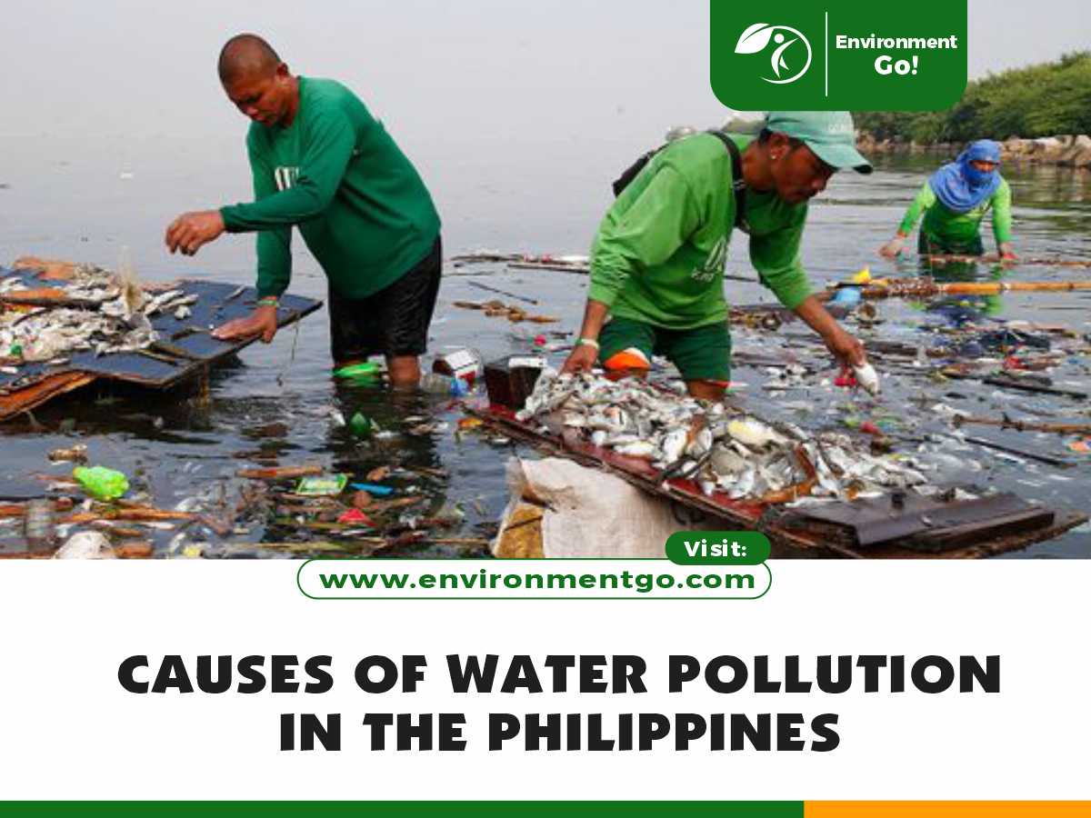 Causes of Water Pollution in the Philippines