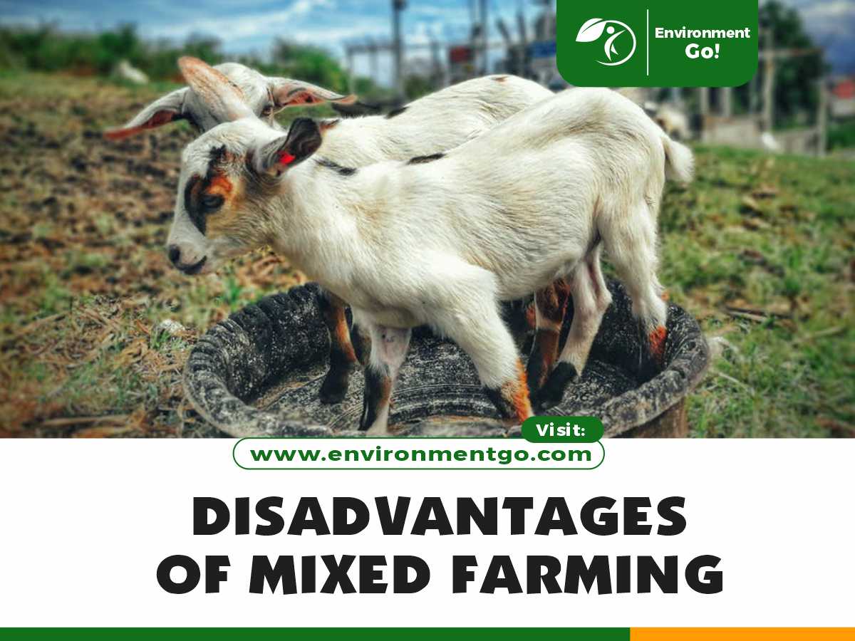 disadvantages of mixed farming
