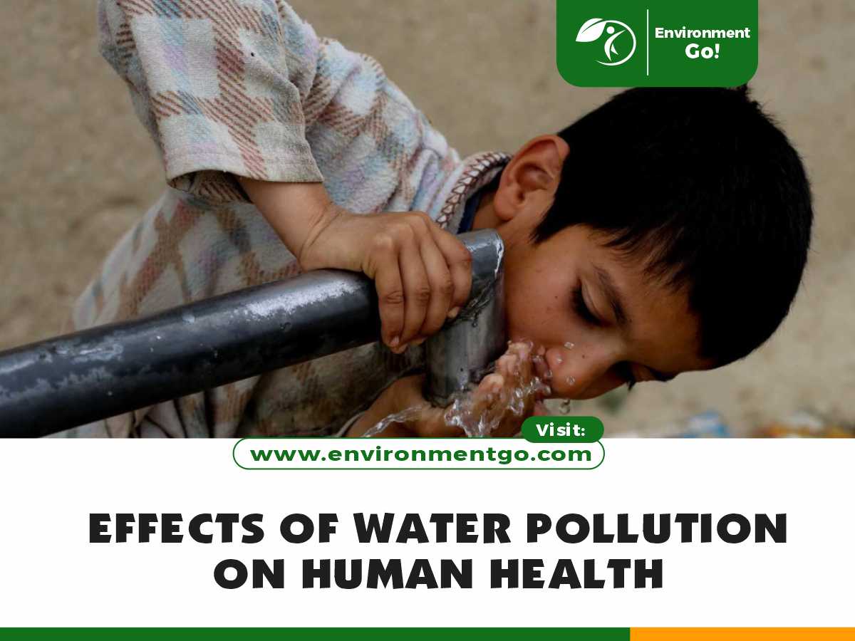 Effects of Water Pollution on Human Health