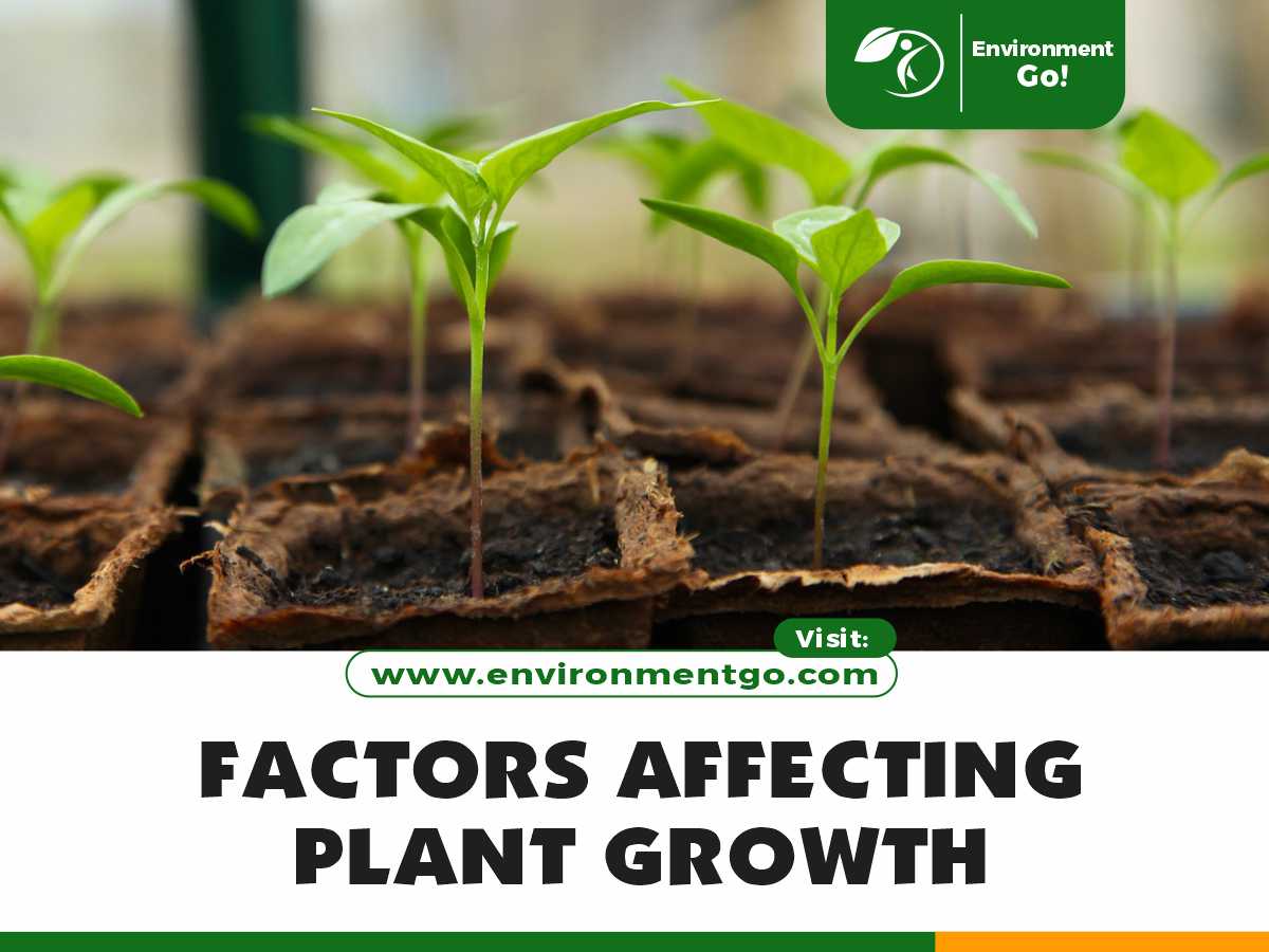 Factors Affecting Plant Growth