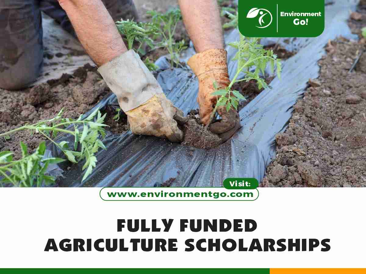 Fully Funded Agriculture Scholarships