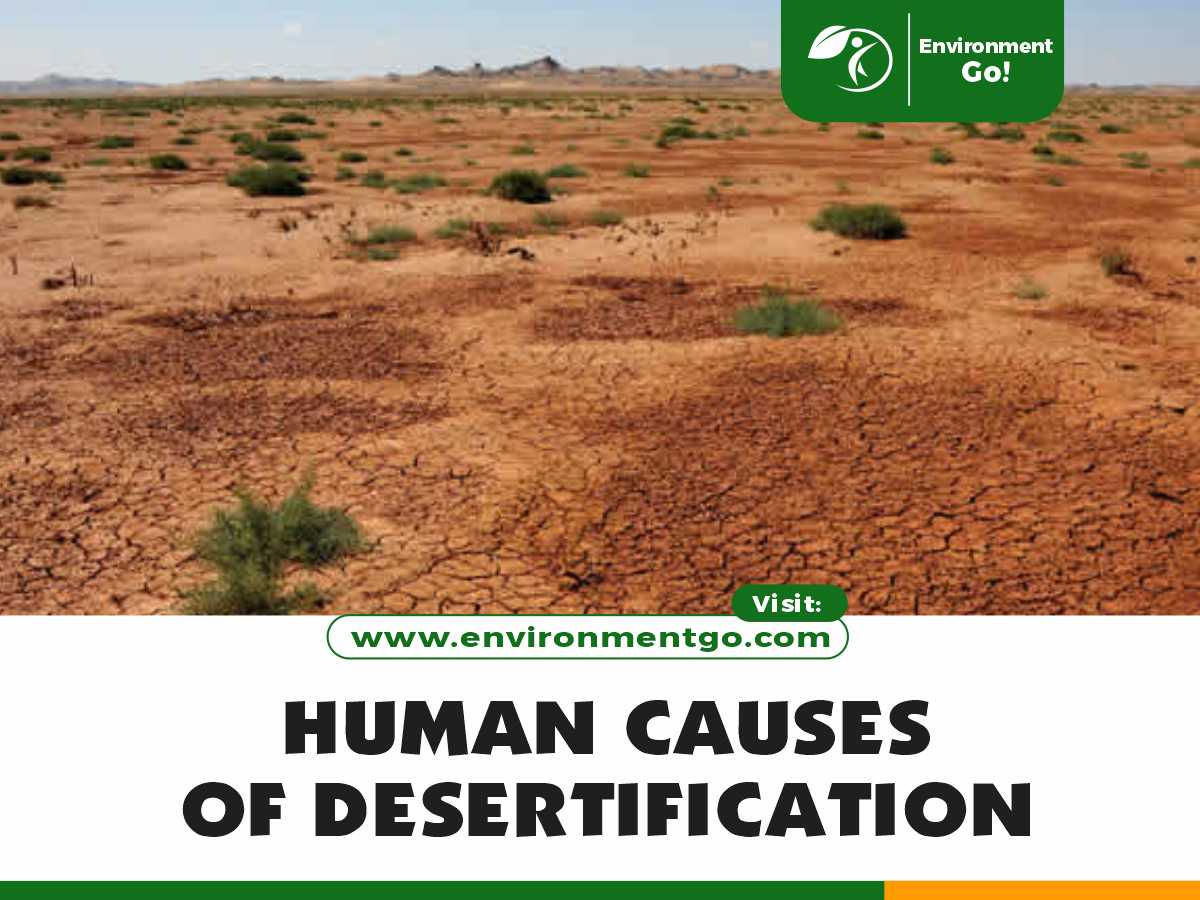 human causes of desertification