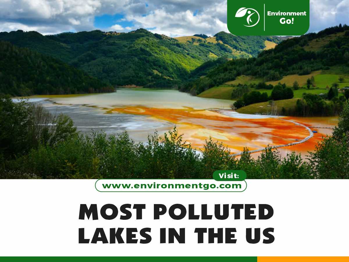 most polluted lakes in the us